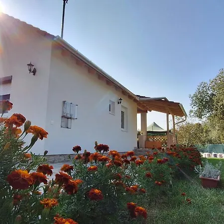 Nyaraló Levendula *